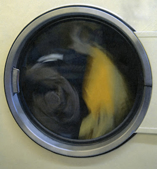 Illustration for article titled Scary creatures are hiding inside our washing machines
